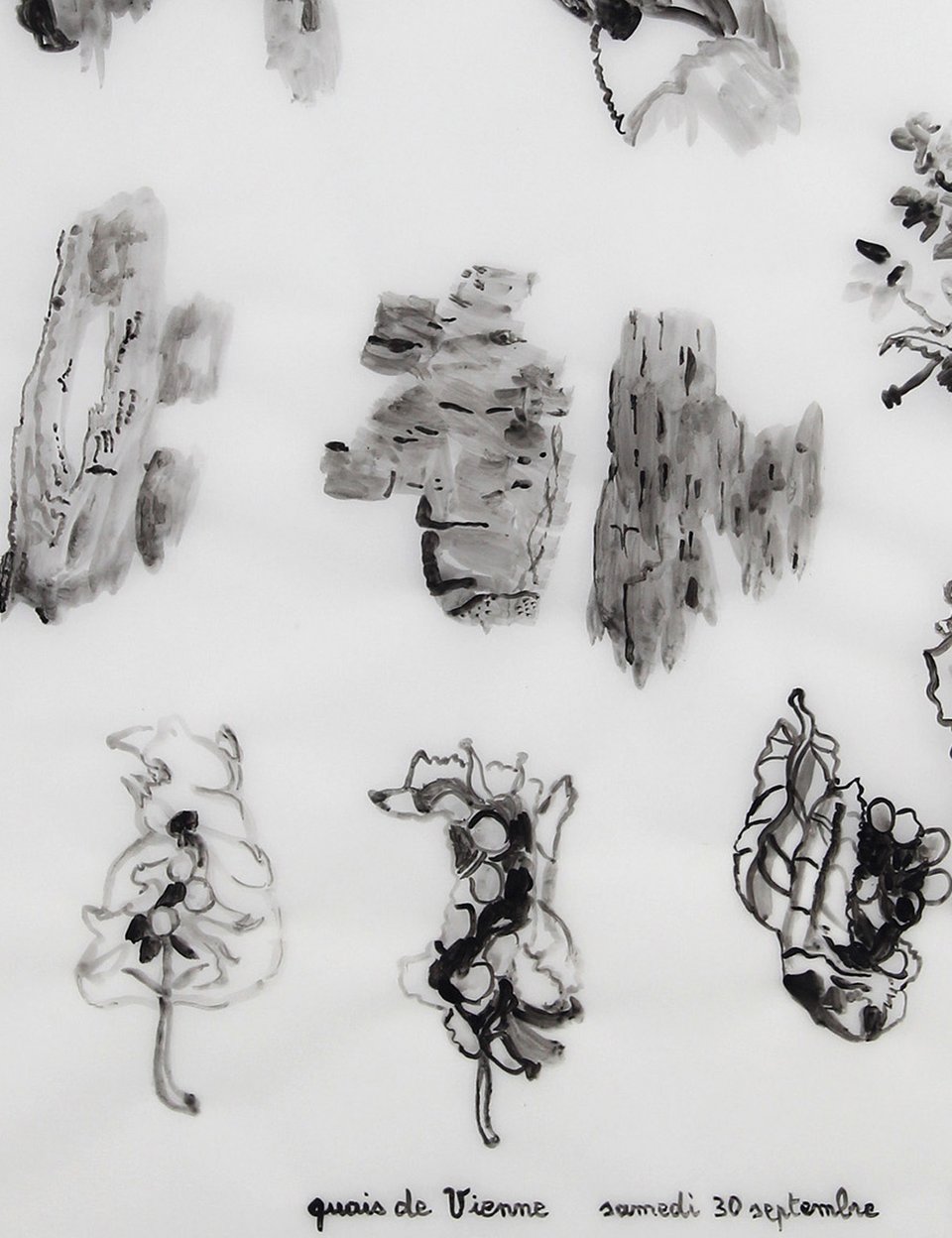 Isabelle Braud : « Fragments de nature »